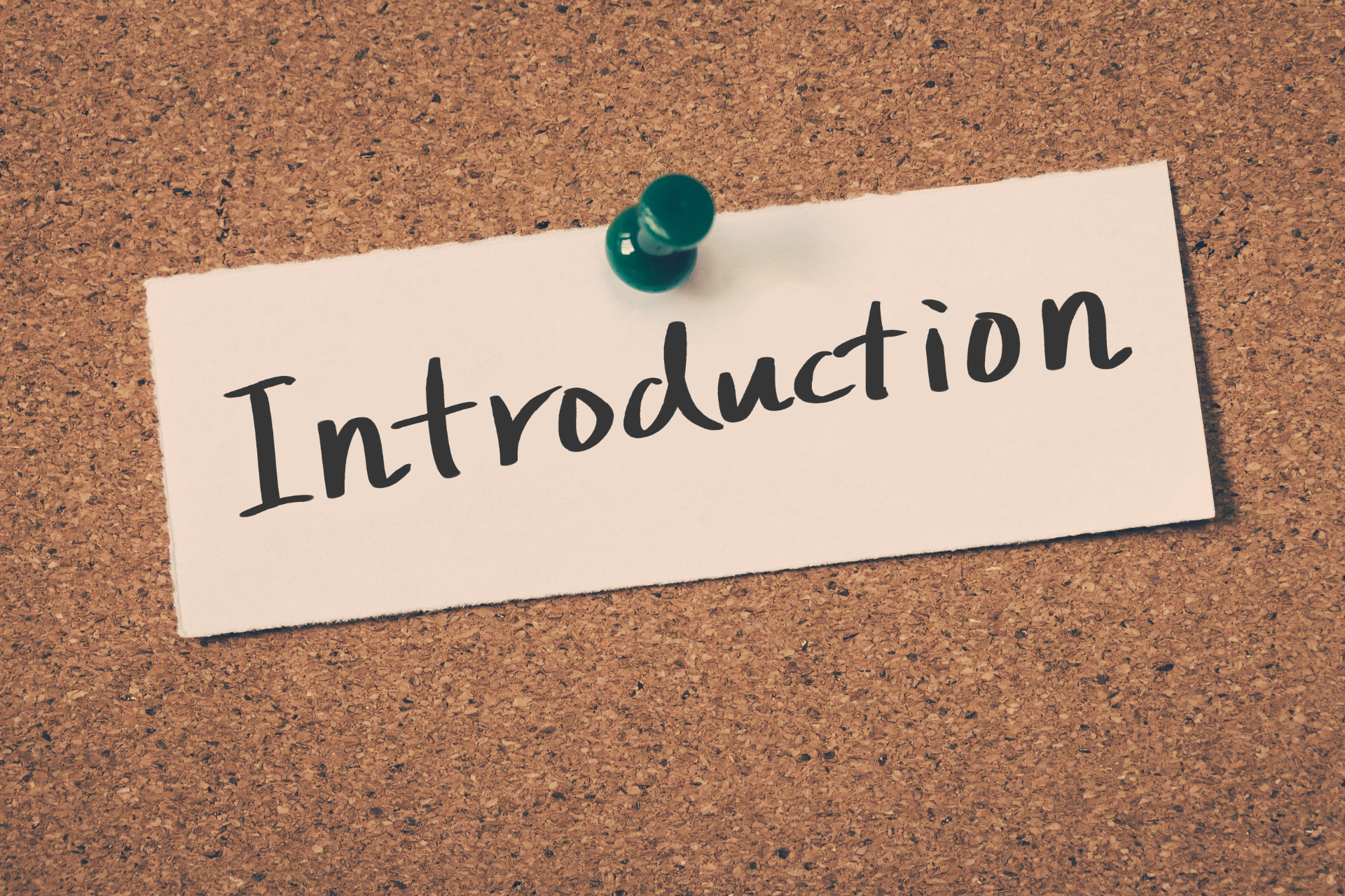 The INTRODUCTION (A Poem)